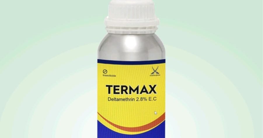 Ballan wrasse climbing gourami amur pike Arctic char, steelhead