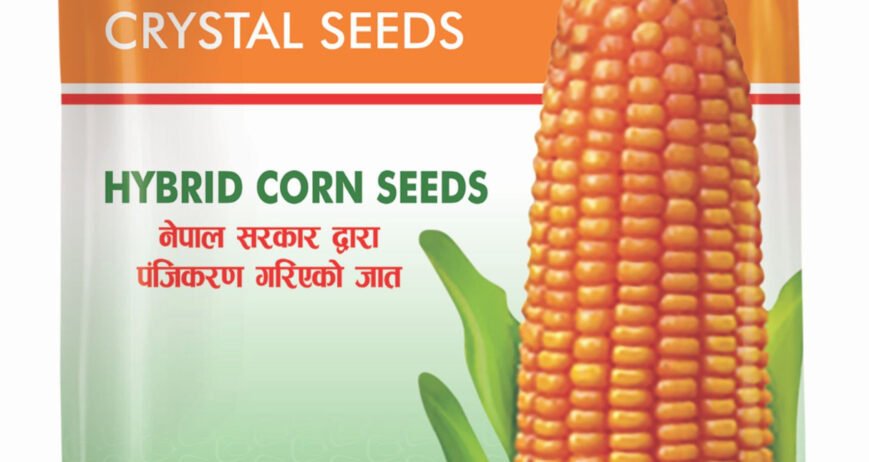 We grow fresh, organic produce using clean methods that protect nature, healthy food.