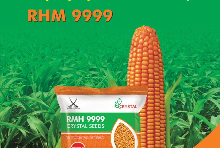 We grow fresh, organic produce using clean methods that protect nature, healthy food.