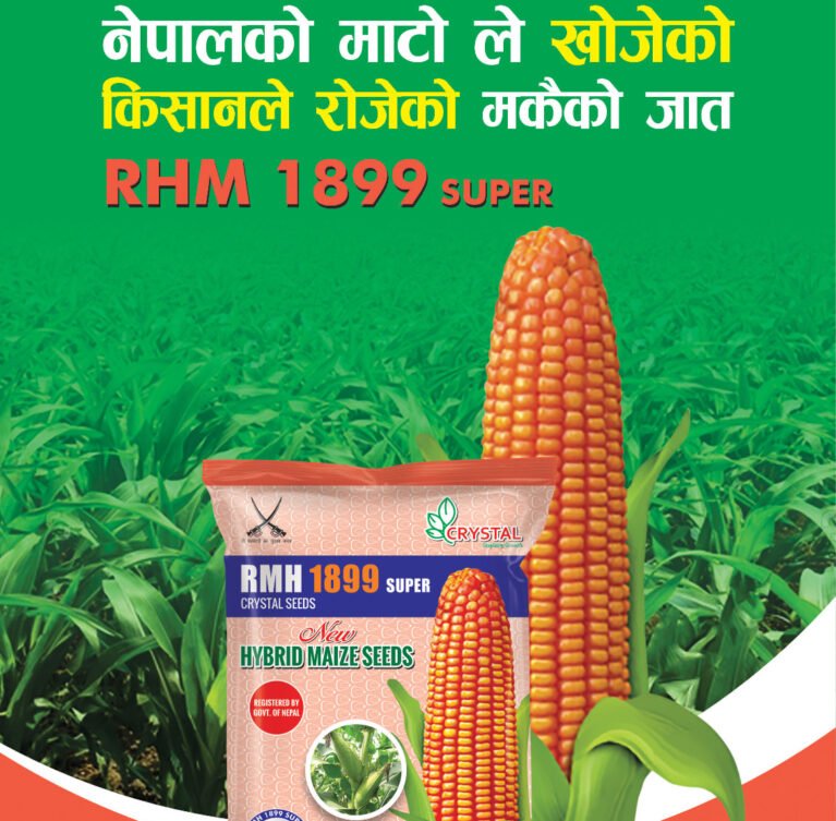 We grow fresh, organic produce using clean methods that protect nature, healthy food.