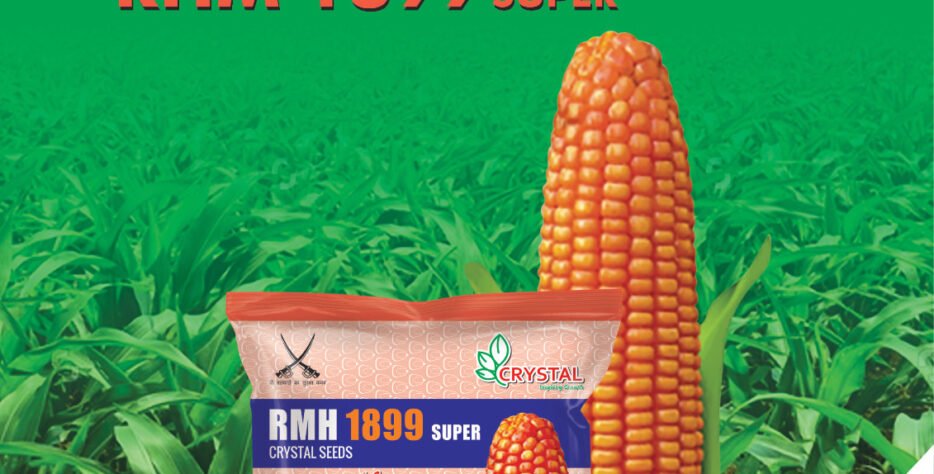 We grow fresh, organic produce using clean methods that protect nature, healthy food.