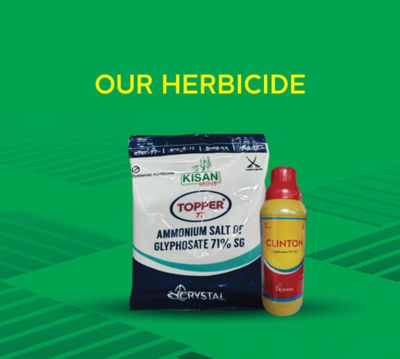 We grow fresh, organic produce using clean methods that protect nature, healthy food.