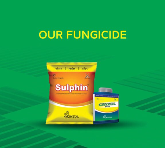 We grow fresh, organic produce using clean methods that protect nature, healthy food.