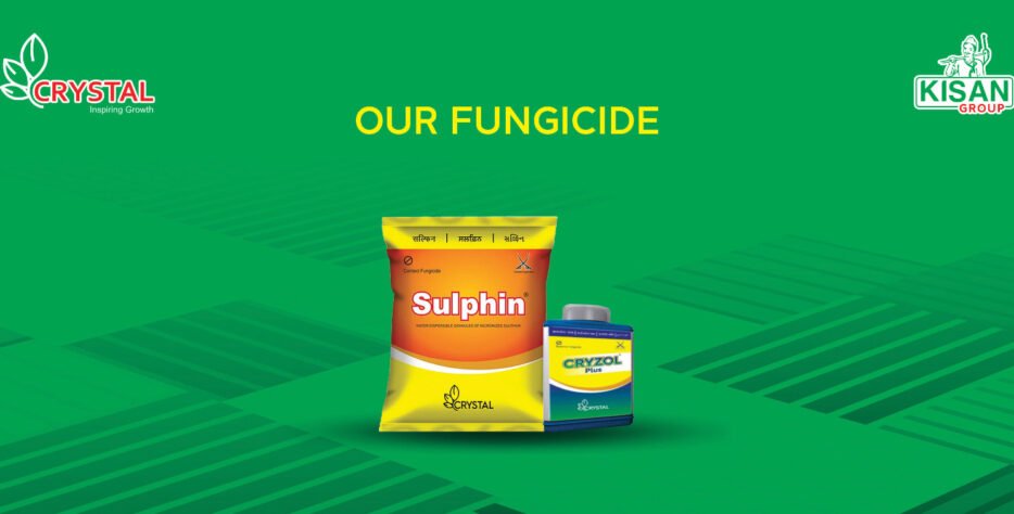 We grow fresh, organic produce using clean methods that protect nature, healthy food.