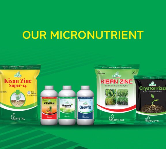 We grow fresh, organic produce using clean methods that protect nature, healthy food.