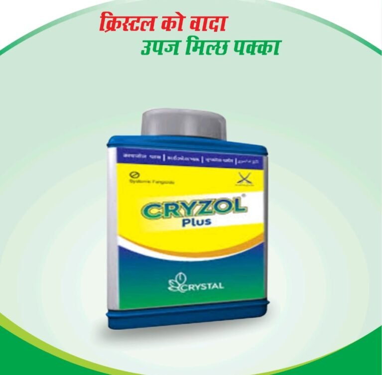 We grow fresh, organic produce using clean methods that protect nature, healthy food.