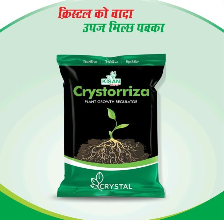 We grow fresh, organic produce using clean methods that protect nature, healthy food.