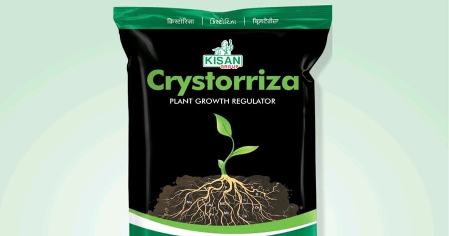 We grow fresh, organic produce using clean methods that protect nature, healthy food.