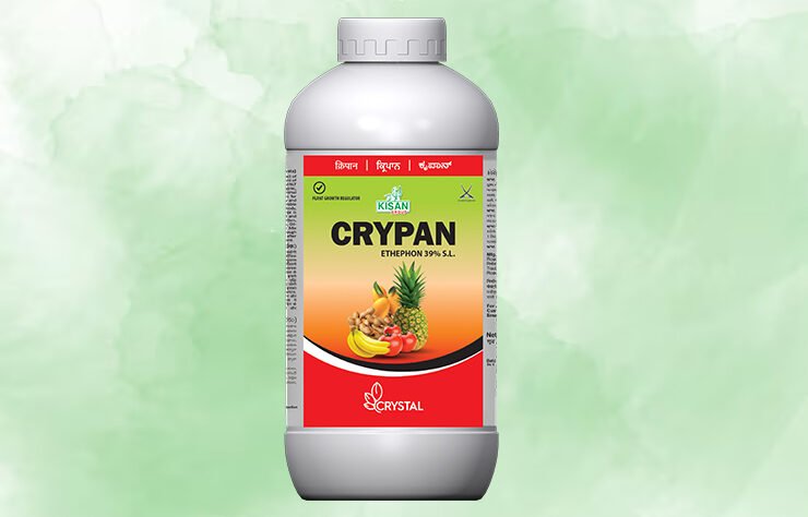 We grow fresh, organic produce using clean methods that protect nature, healthy food.